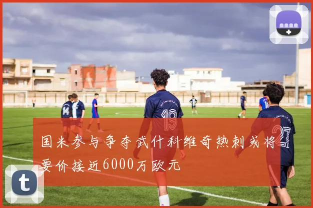 国米参与争夺武什科维奇热刺或将要价接近6000万欧元